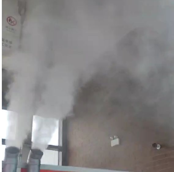 养殖场移动式消毒机使用的5大关键步骤与维护要点-泰鼎实业(图1)
