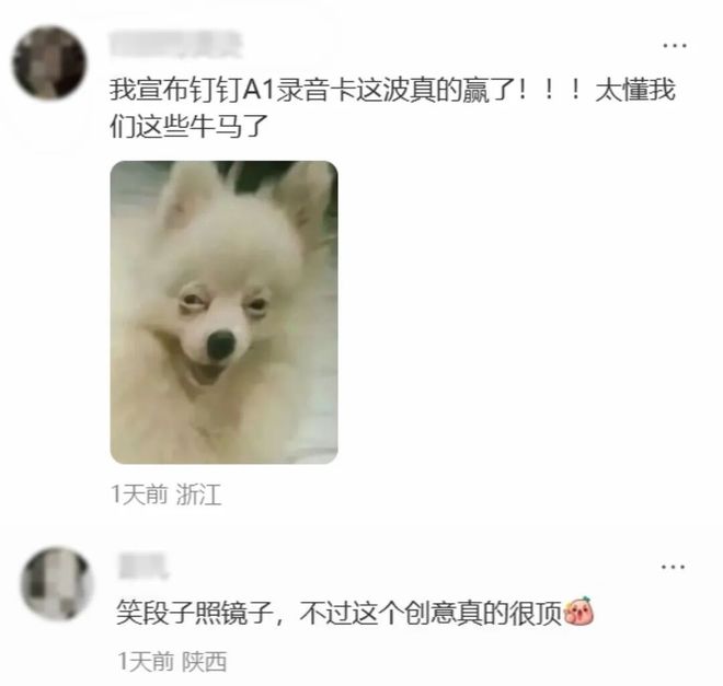 年后返工第一劫：被钉钉的“天书文学”硬控了(图8)