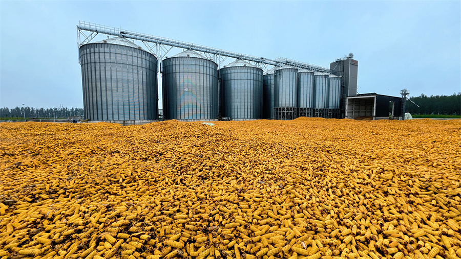 端牢中国饭碗 共护大国粮仓