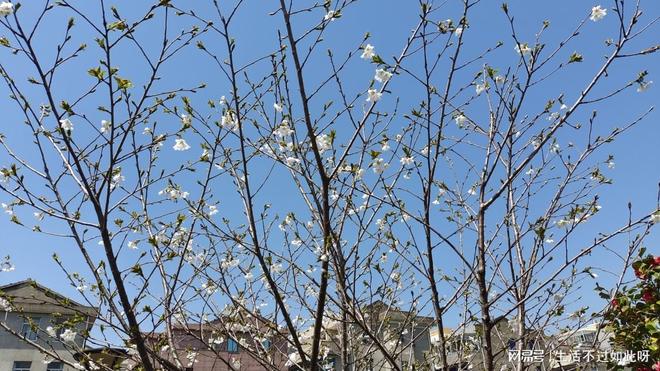 70岁婆婆把27万存款交给我还说出心里话她的请求让我泪目