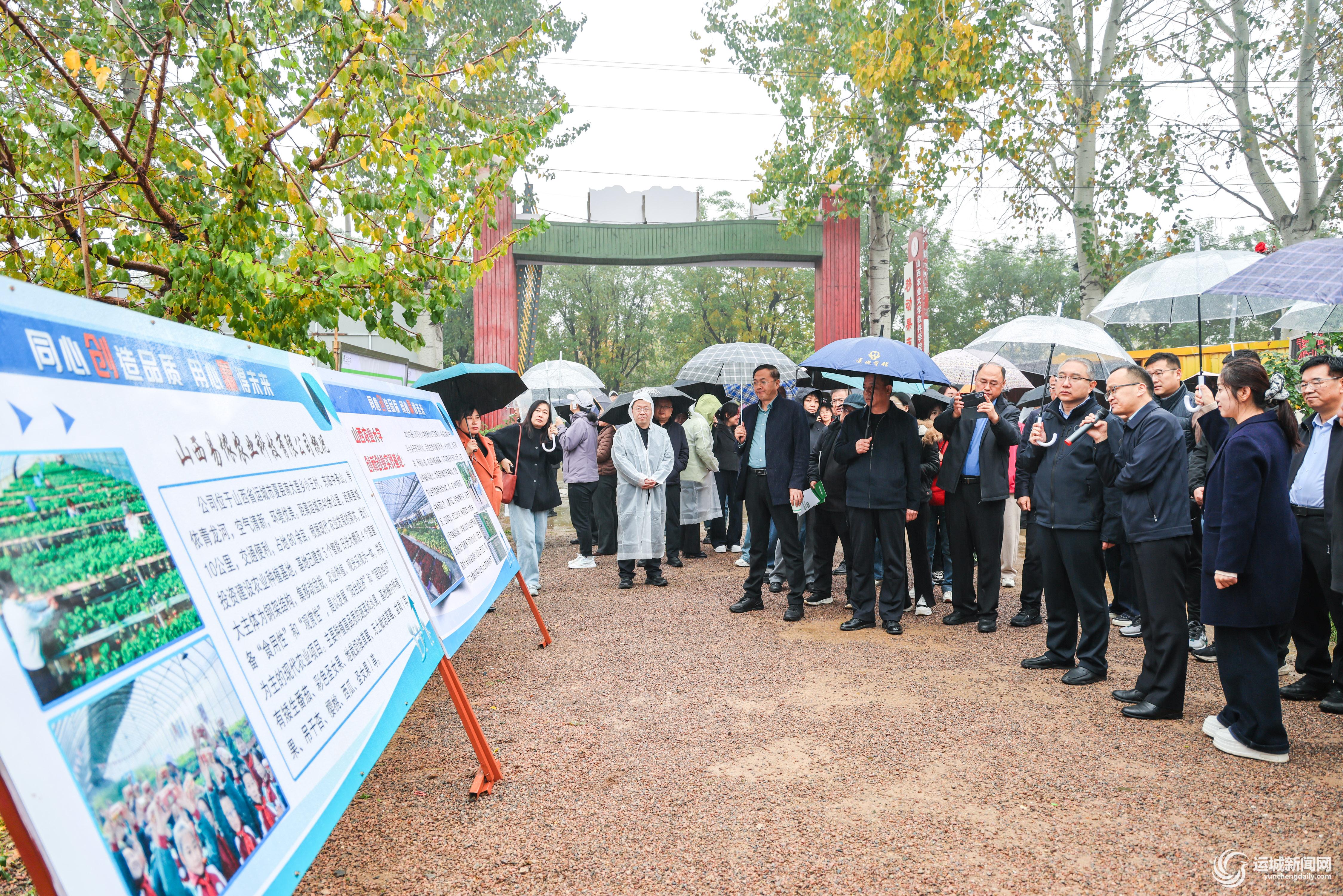 地膜“闭环”护沃土(图3)