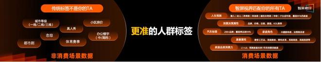 电视大屏重返营销舞台的中央(图7)
