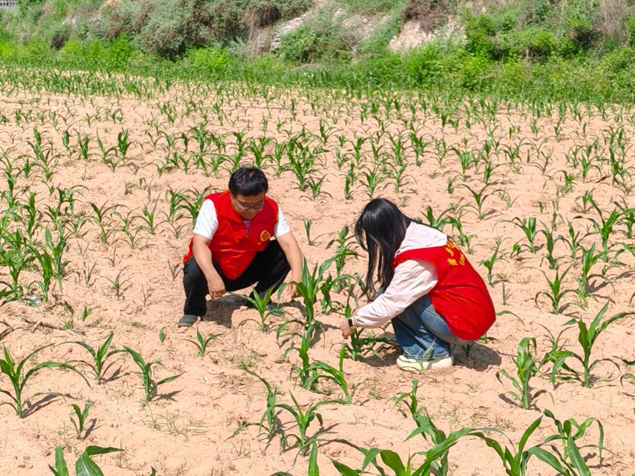 蒲县气象局：靶向发力“三定”预报  打通服务群众“最后一公里”(图2)