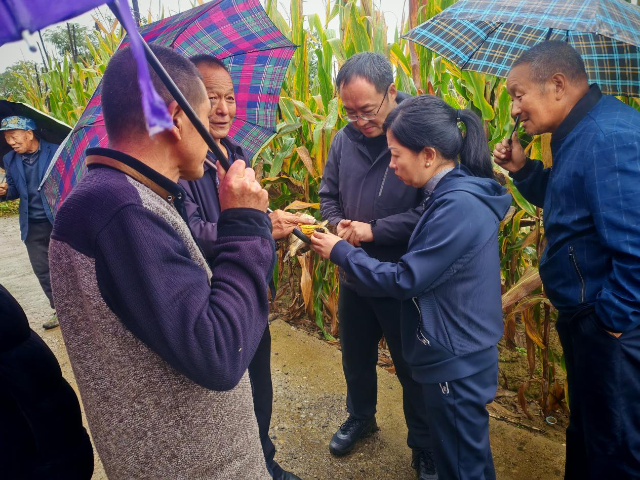 蒲县气象局：靶向发力“三定”预报  打通服务群众“最后一公里”(图1)