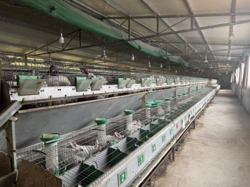 泥泞路上的信贷初心​--邮储银行乐至县支行深耕三农助力乡村振兴(图2)